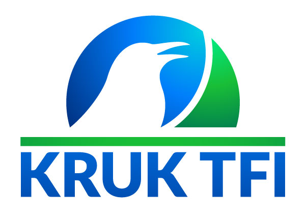 Kruk TFI